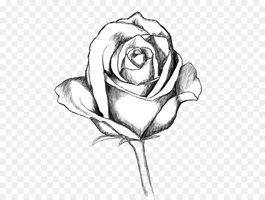 900x680 Drawing Line Art Sketch - Sketch Objects