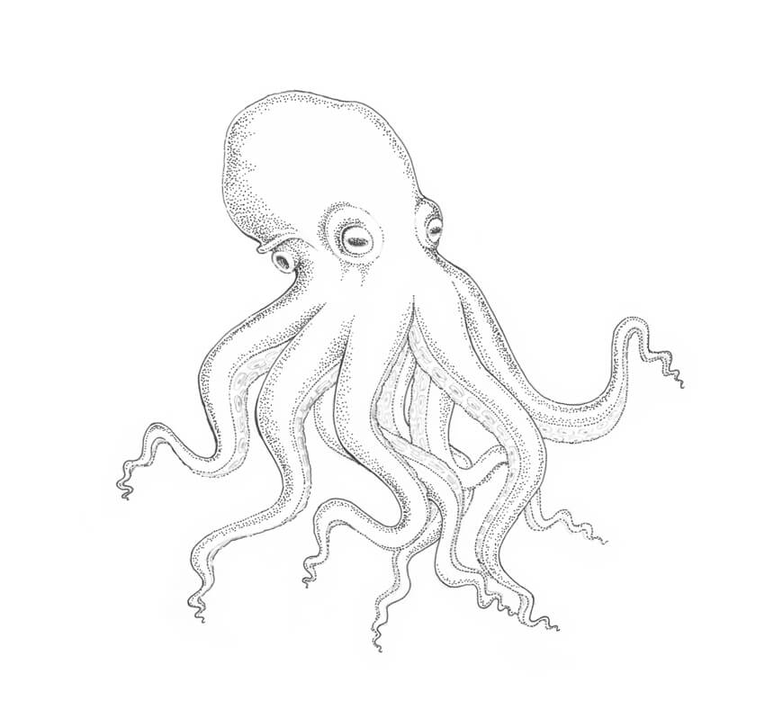 850x809 How To Draw An Octopus Step By Step - Sketch Octopus