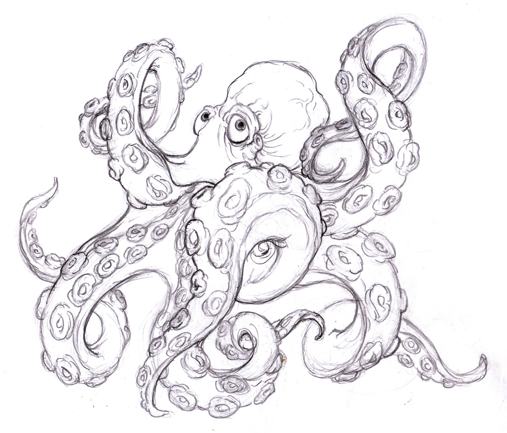 1000x853 Magellin . Blog Octopus Sketch - Sketch Octopus