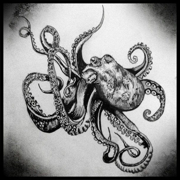 612x612 Octopus Sketch By Vaenoxx - Sketch Octopus