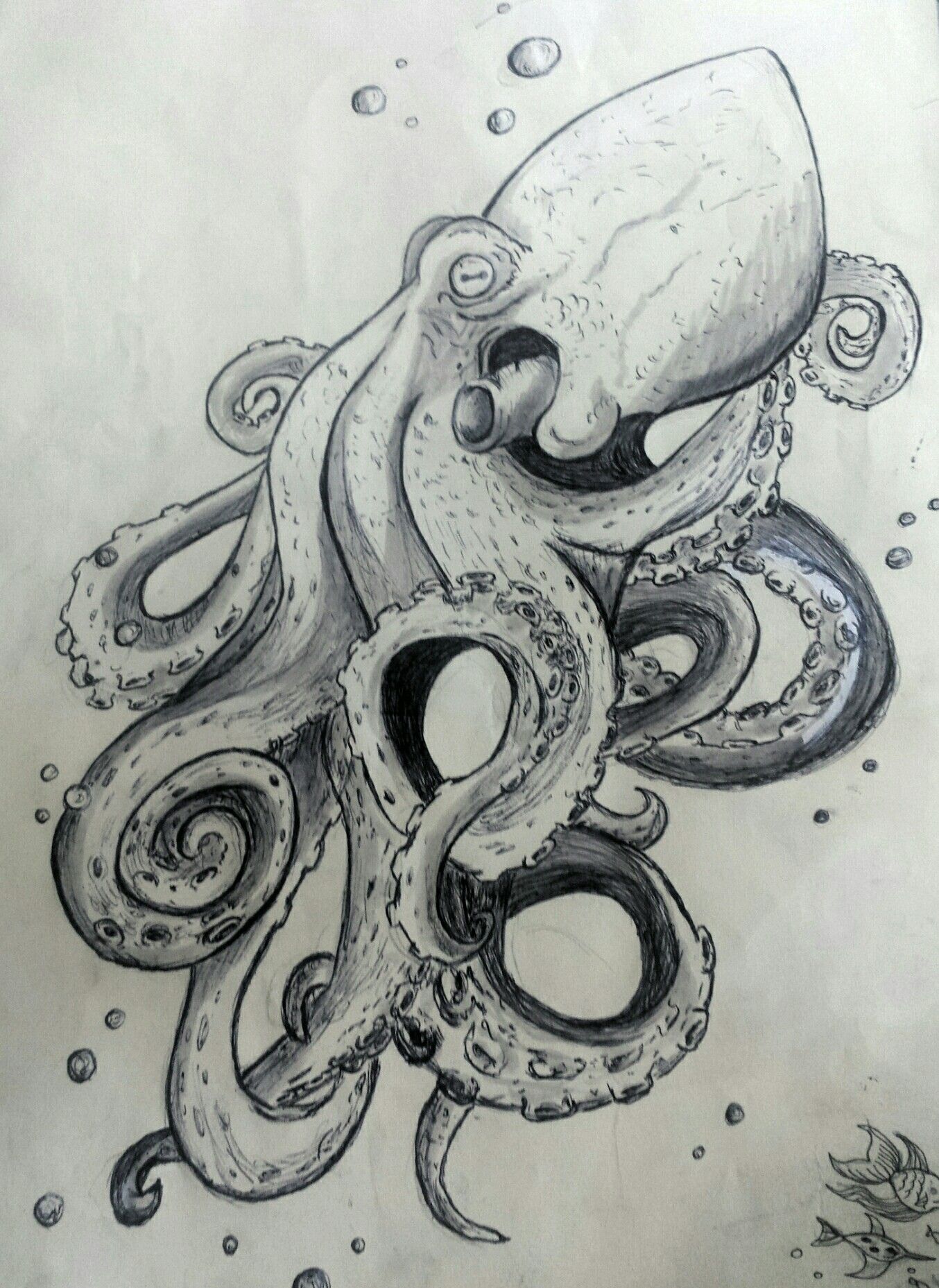 1354x1857 Octopus Sketch Gift Ideas - Sketch Octopus