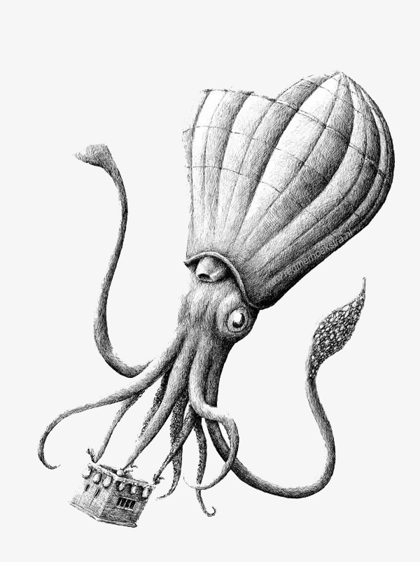 600x803 Sketch Octopus, Sketch, Octopus, Black And White Png And Psd File - Sketch Octopus