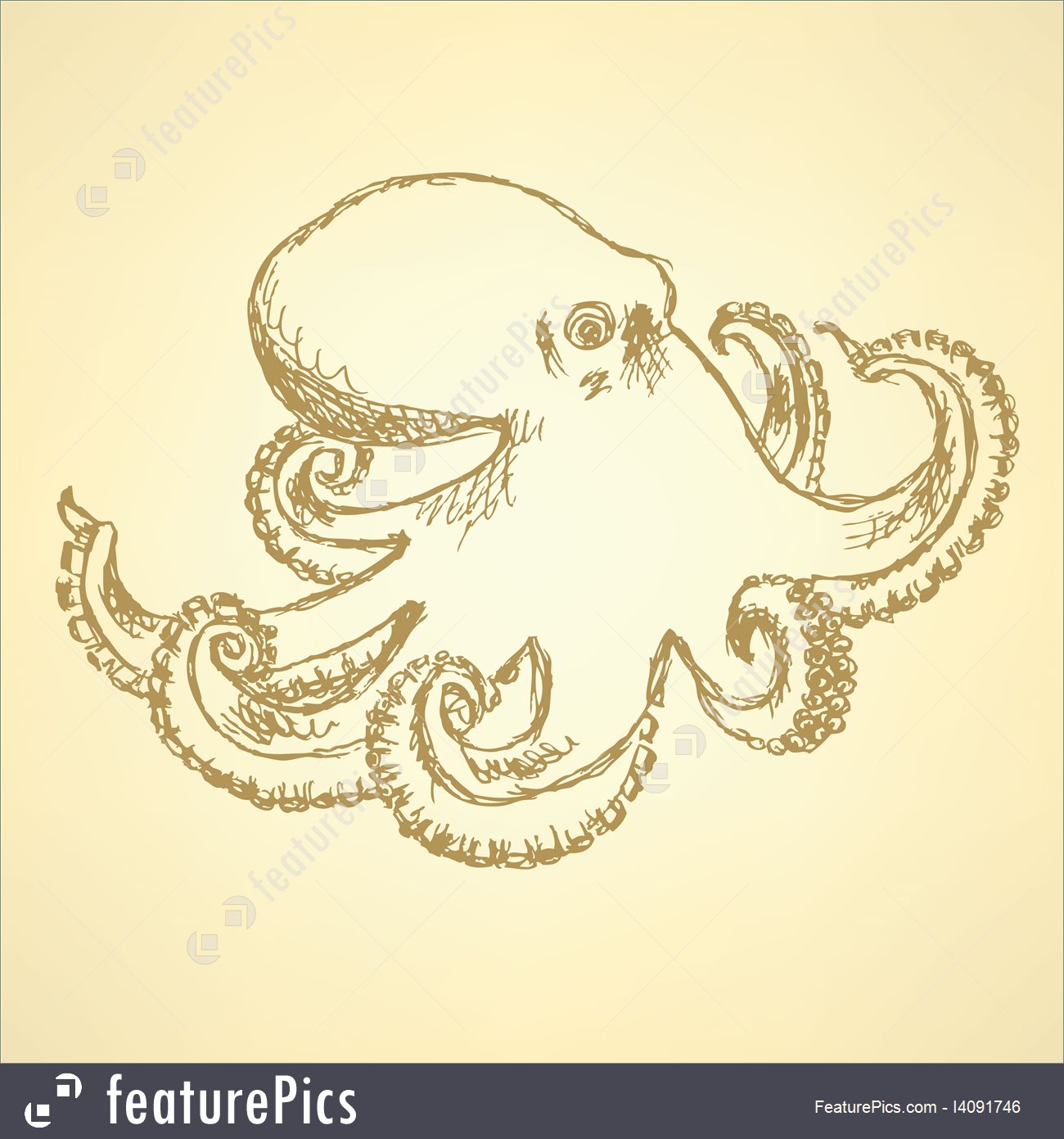 1300x1391 Sketch Octopus, Vector Background - Sketch Octopus