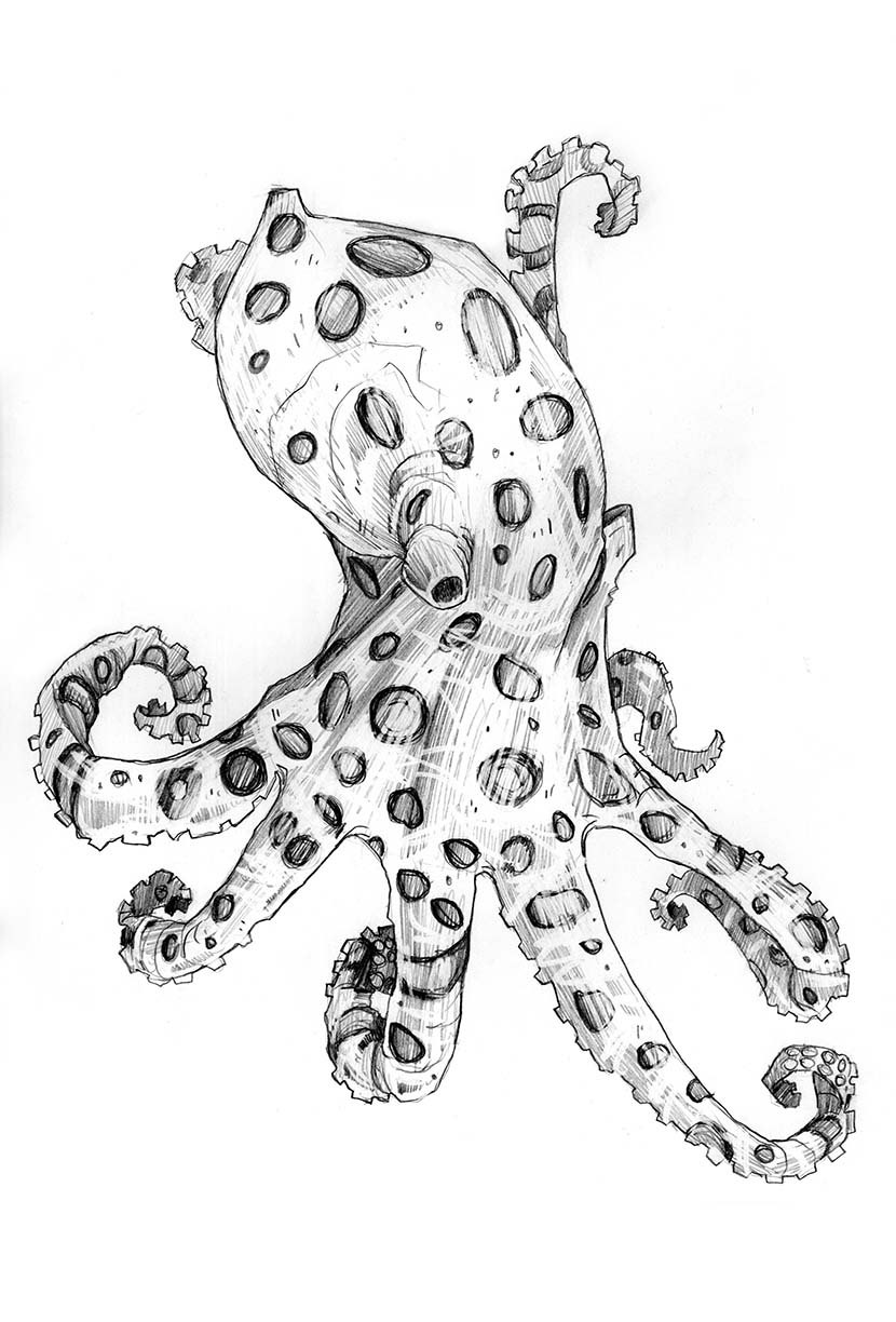 830x1224 Blue Ringed Octopus Sketch Sketches Anthony Granato - Sketch Octopus