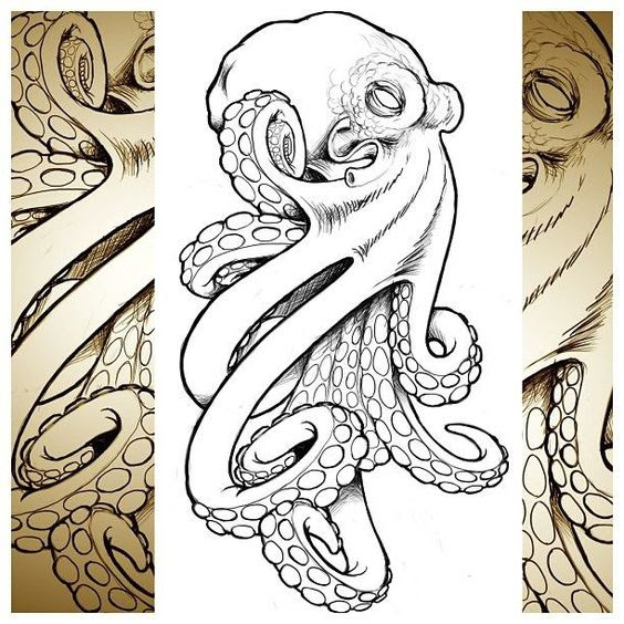 564x564 Elephant Head Octopus Tattoo Design Sketch - Sketch Octopus