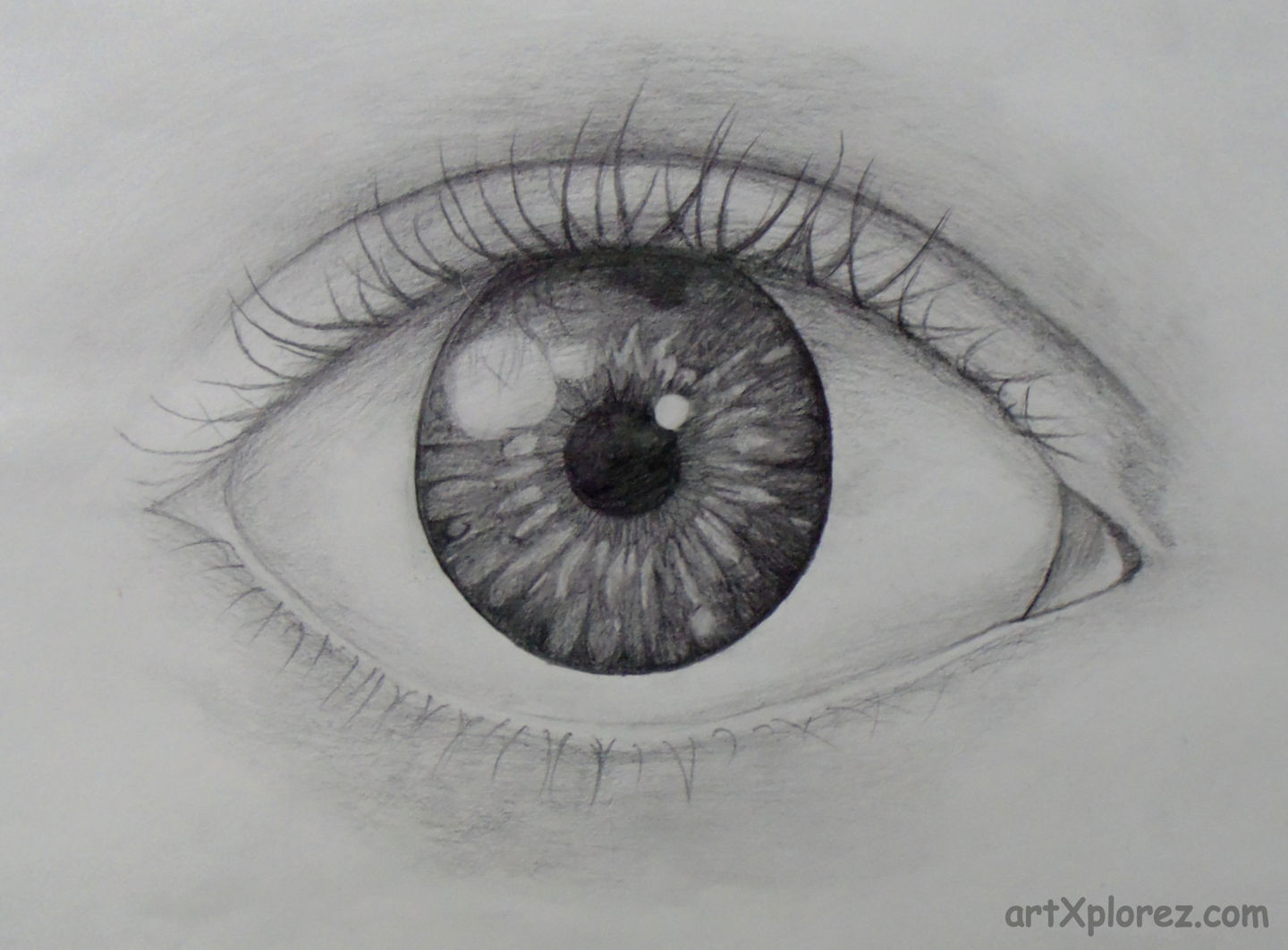 1440x1062 Sketch Of A Real Eye Artxplorez - Sketch Of