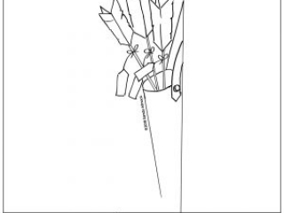 320x240 Sketch Gallery - Sketch Of A