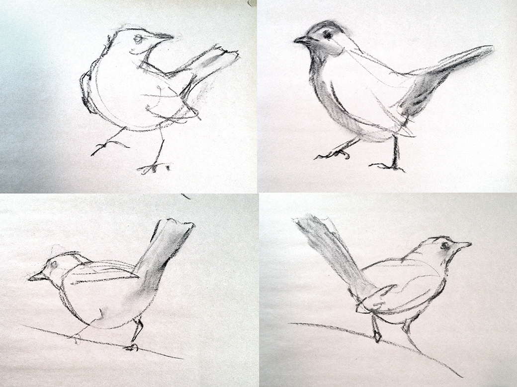 1040x780 Field Sketching - Sketch Of A