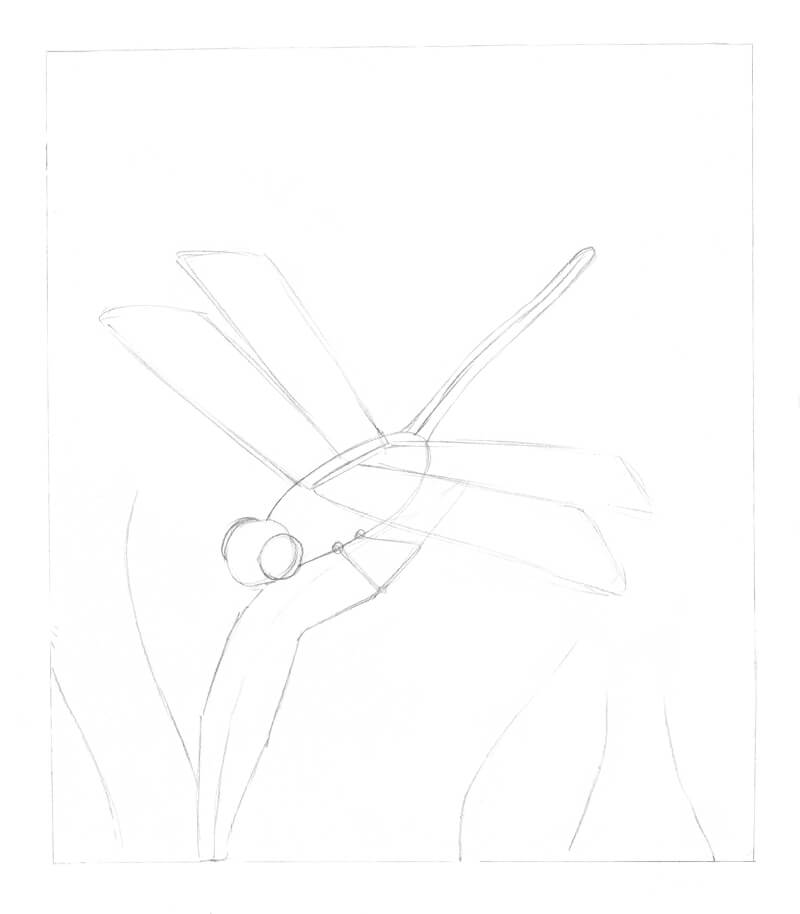 800x914 Drawing A Dragonfly - Sketch Of A Pencil