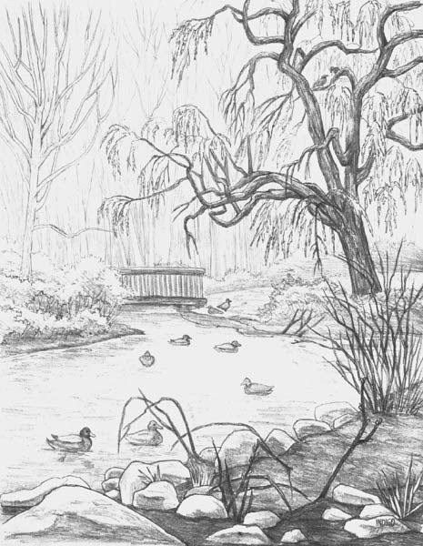 Sketch Of A Pond at PaintingValley.com | Explore collection of Sketch