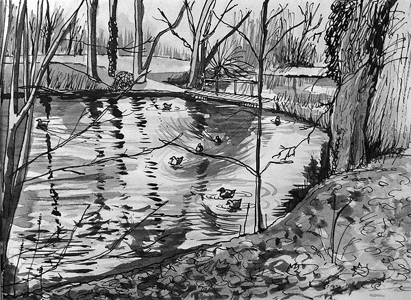 600x438 Sketching - Sketch Of A Pond