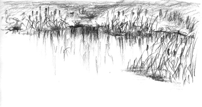 698x372 Smashwords Who Can Save The Pond - Sketch Of A Pond