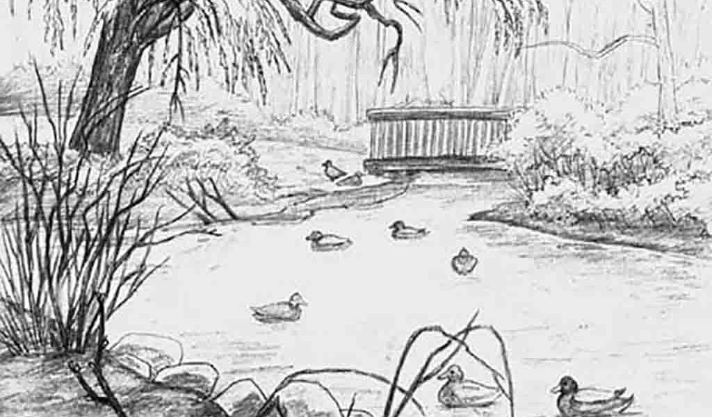 1024x600 Sophisticated Landscape Drawing Ideas Sketch P - Sketch Of A Pond