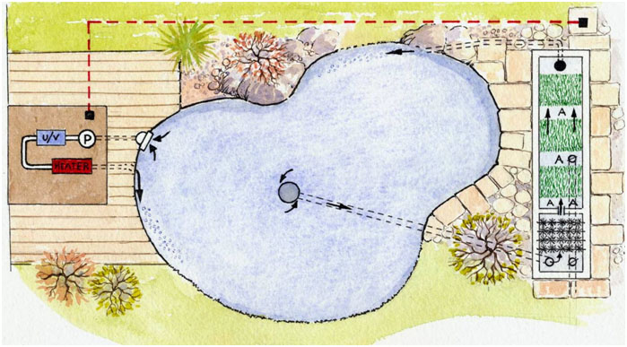 699x387 The Perfect Small Pond 2009 - Sketch Of A Pond