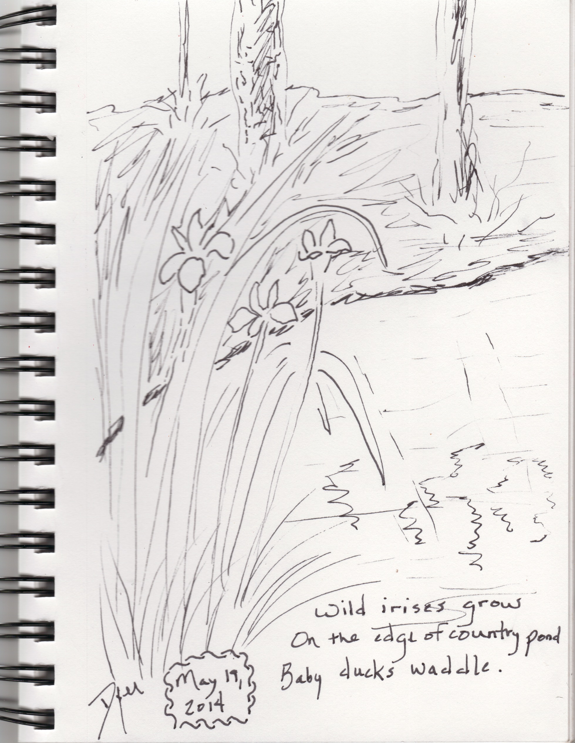 Sketch Of A Pond at PaintingValley.com | Explore collection of Sketch ...