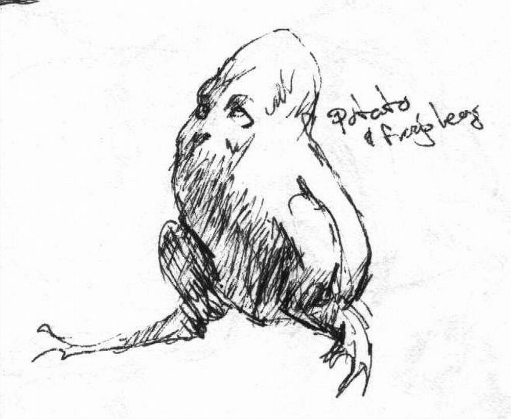 1000x821 Flyingoat Website - Sketch Of A Potato