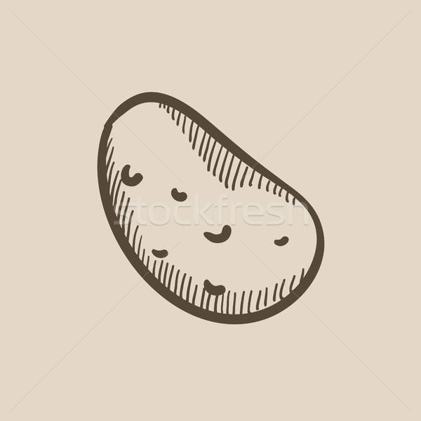 600x600 Potato Sketch Icon. Vector Illustration Andrei Krauchuk - Sketch Of A Potato
