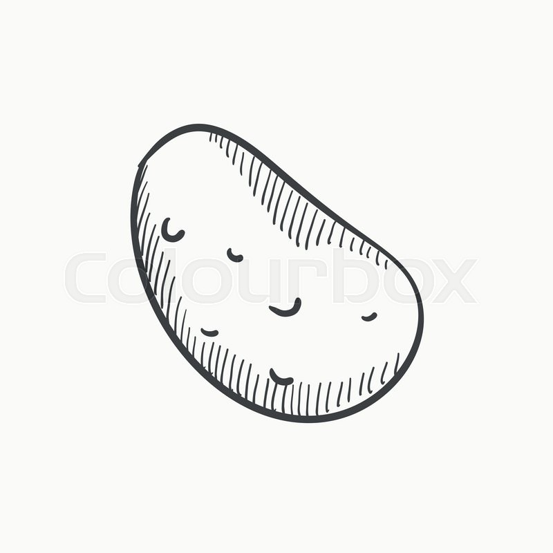 800x800 Potato Vector Sketch Icon Isolated On Background. Hand Drawn - Sketch Of A Potato