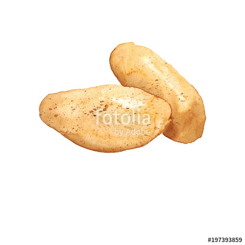 500x500 Watercolor Hand Drawn Sketch Illustration Of Potato Isolated On - Sketch Of A Potato