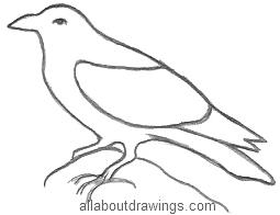 255x196 Magical Drawings Of Ravens - Sketch Of A Raven