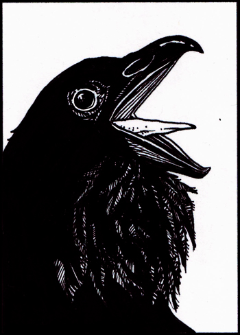 350x488 Mini Sketch Monday Raven - Sketch Of A Raven