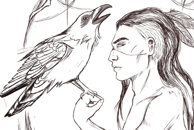 657x440 Raven Megan Leitschuh - Sketch Of A Raven