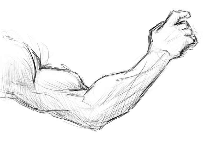 Sketch Of An Arm at PaintingValley.com | Explore collection of Sketch ...