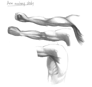 320x301 Arm Drawings On Paigeeworld. Pictures Of Arm - Sketch Of An Arm