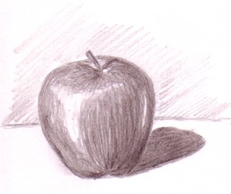 Sketch Of Apple Fruit at PaintingValley.com | Explore collection of ...
