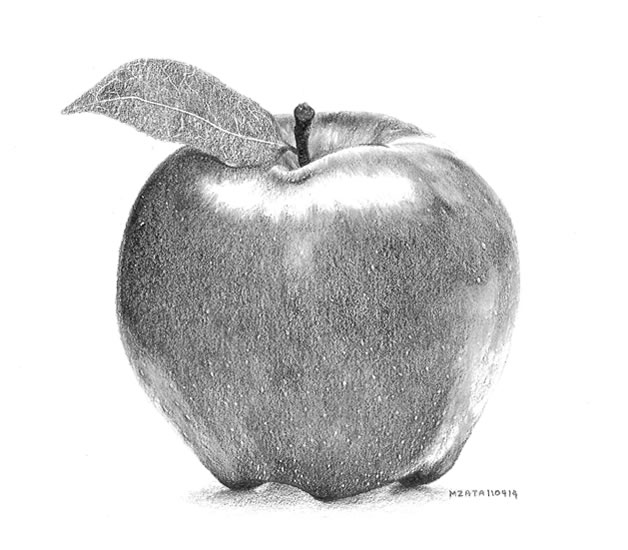628x550 Drawn Fruit Shading - Sketch Of Apple Fruit