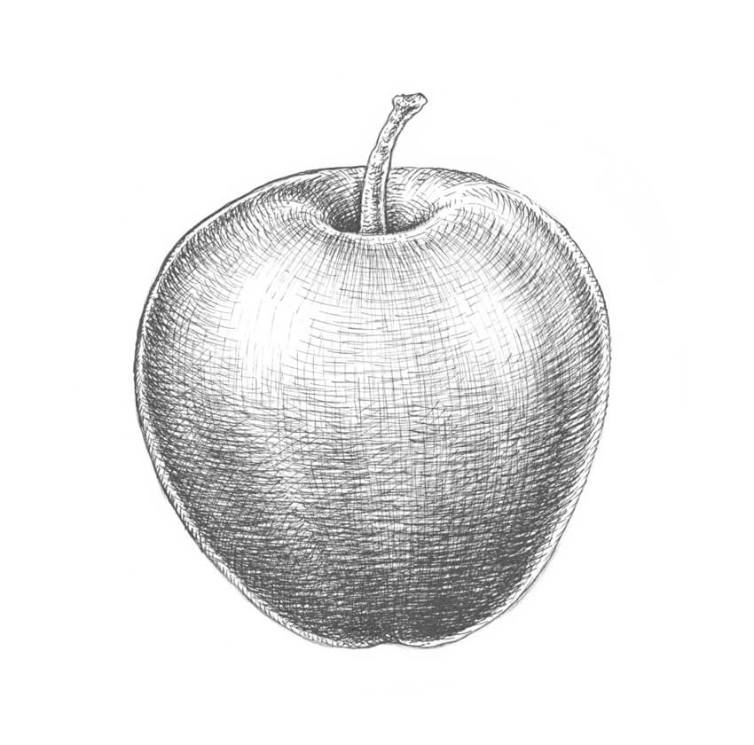 850x840 How To Draw An Apple - Sketch Of Apple Fruit