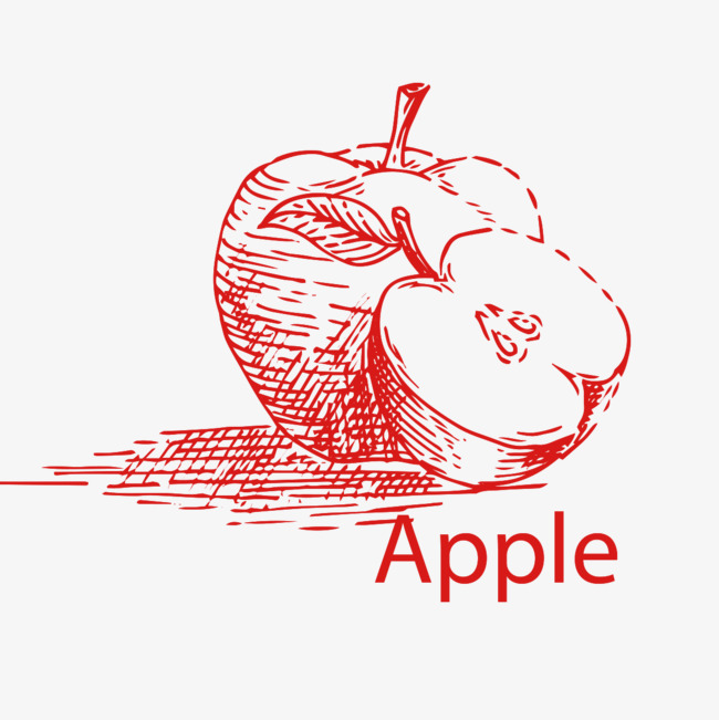 650x651 Sketch Of Apple Fruit, Fruit Clipart, Hand Drawn Fruits, Sketch - Sketch Of Apple Fruit