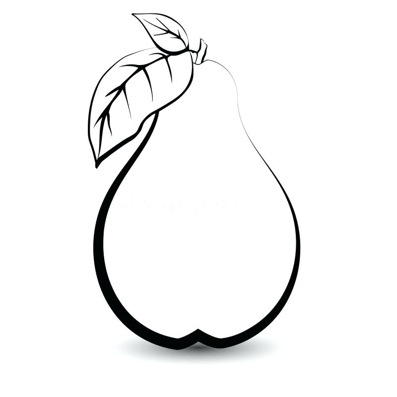 800x800 Apple Fruit Sketches For Coloring Pages Preschoolers Drawing Free - Sketch Of Apple Fruit