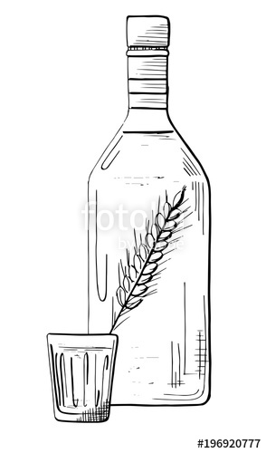 294x500 Sketch Bottle Of Vodka. Sketch Of Glass With Vodka. Vector - Sketch Of Bottle