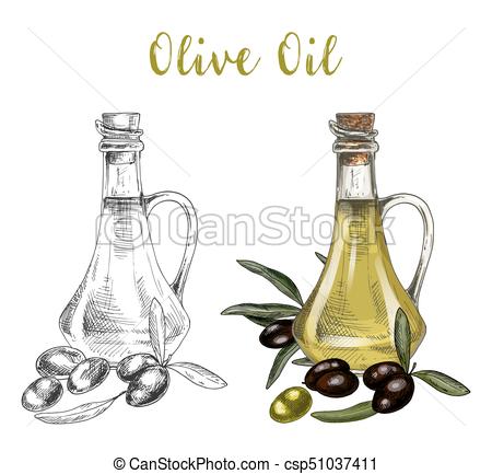 450x433 Sketch Of Bottle With Olive Oil And Branch. Sketch Of Bottle With - Sketch Of Bottle