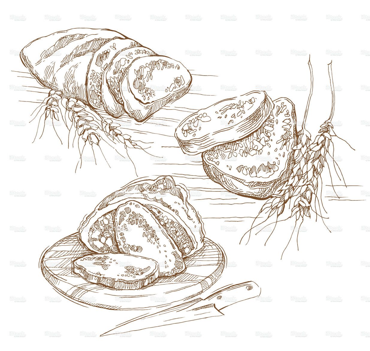 1235x1170 Hand Made Vector Sketch Of Bread And Spikes. Vector Illustration - Sketch Of Bread