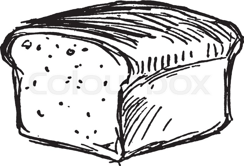 800x547 Bread Loaf Is Baked Food Product Made Out Of Flour And Water - Sketch Of Bread