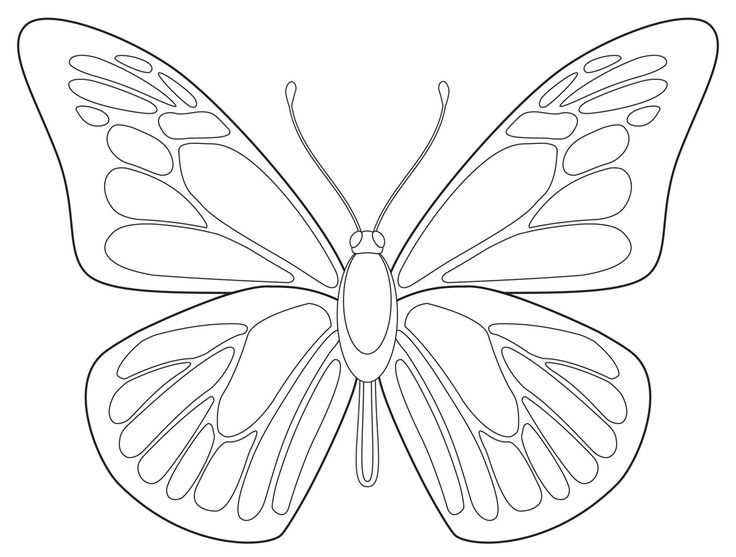 736x557 Free Butterfly Printable Butterfly Butterfly - Sketch Of Butterfly Pictures