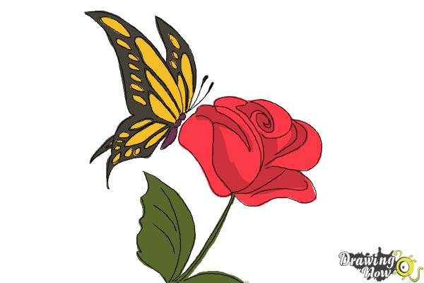 600x400 How To Draw A Butterfly On A Flower - Sketch Of Butterfly Pictures
