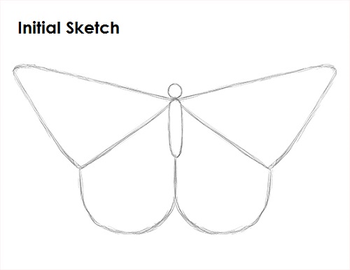 500x386 How To Draw A Butterfly - Sketch Of Butterfly Pictures
