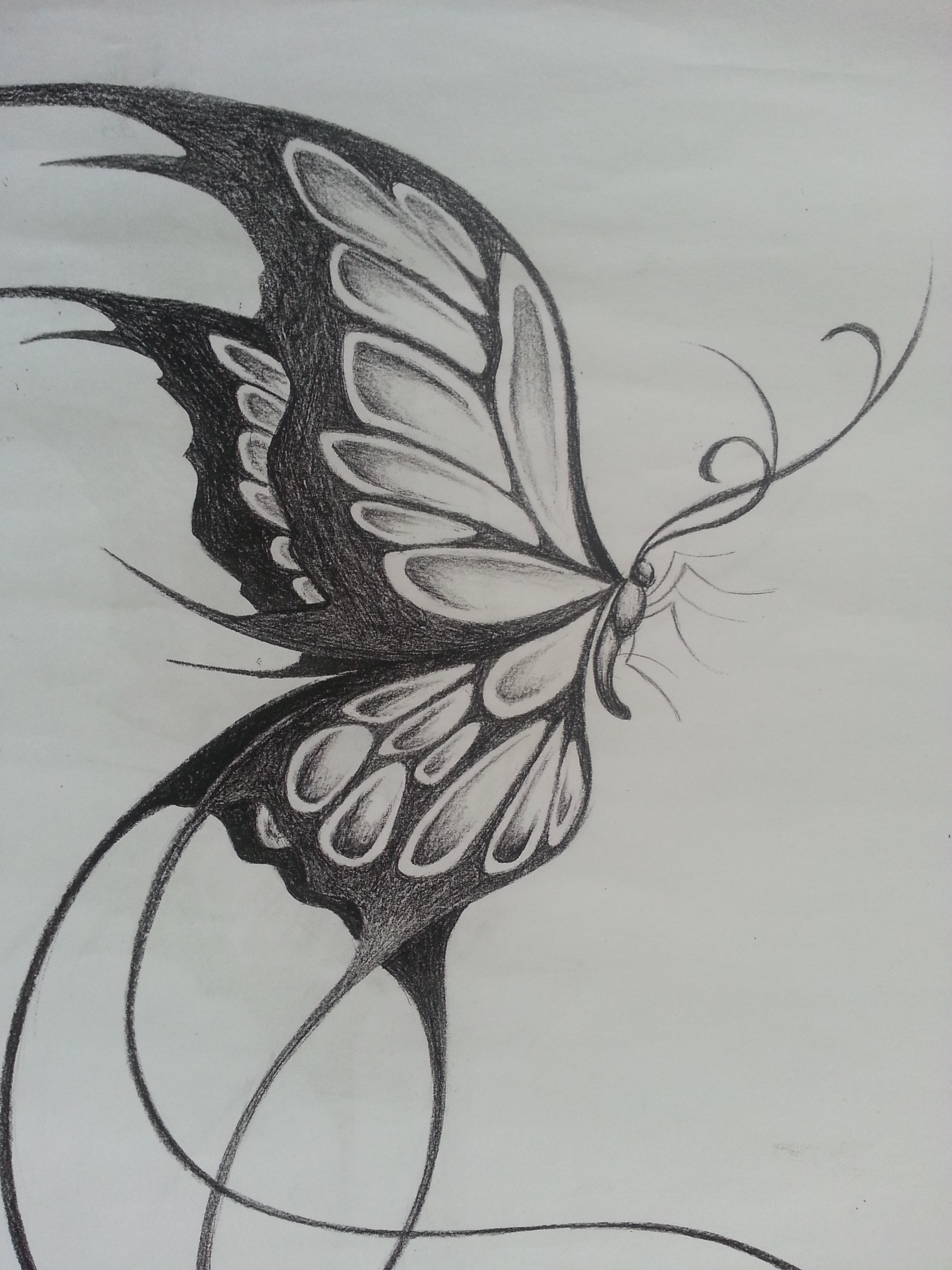 2448x3264 Pencil Drawing Butterfly - Sketch Of Butterfly Pictures