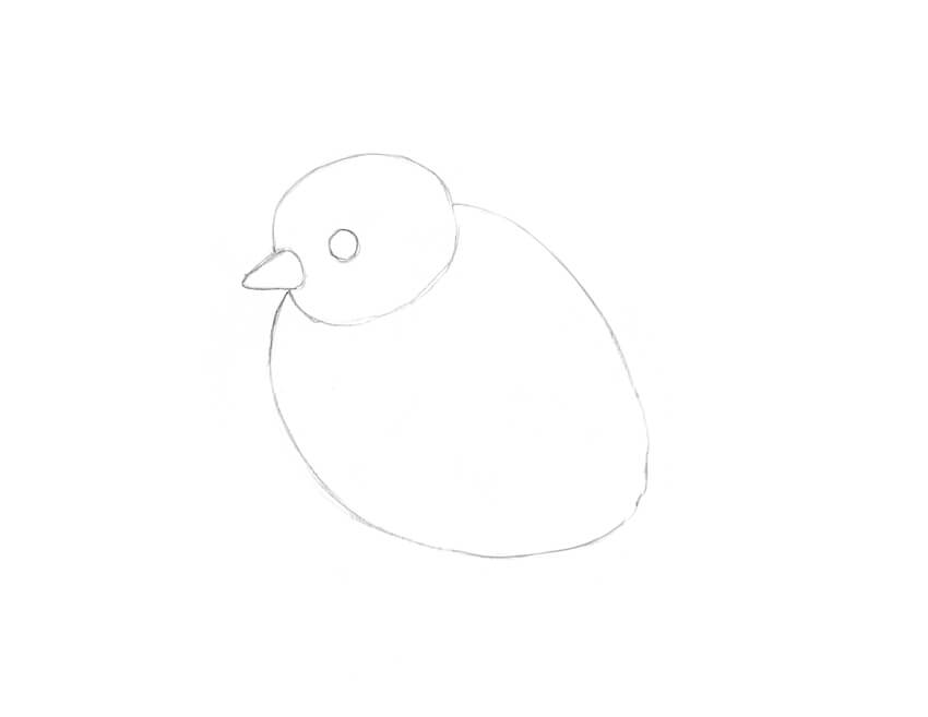 850x657 How To Draw A Chicken And A Rooster - Sketch Of Chicken