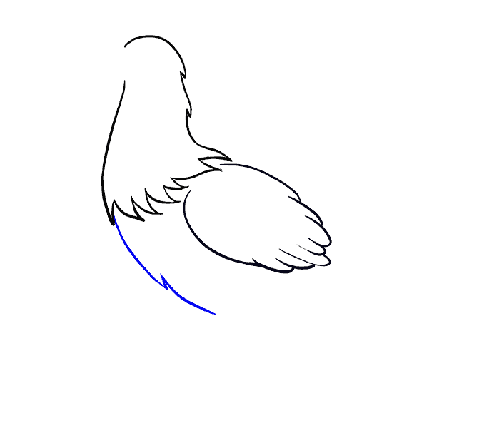 678x600 How To Draw A Cute Chicken In A Few Easy Steps Easy Drawing Guides - Sketch Of Chicken