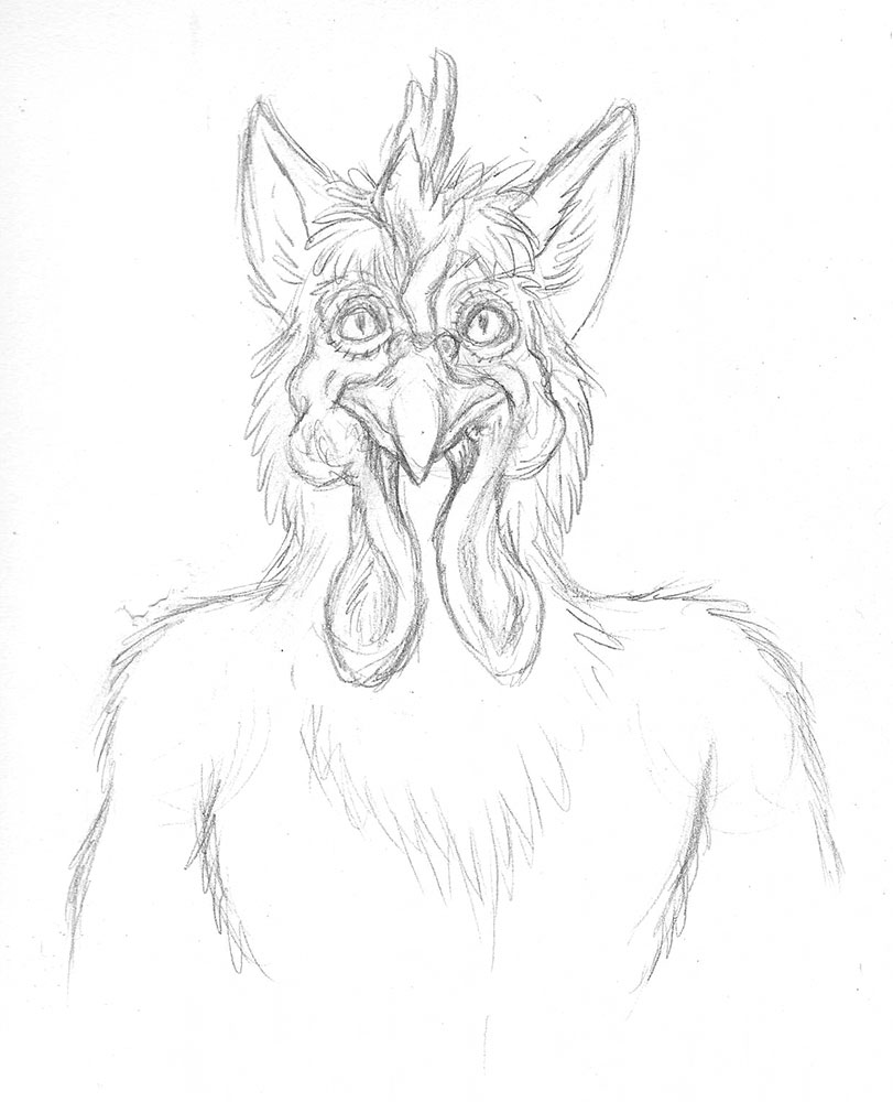 811x1000 Sketch - Sketch Of Chicken