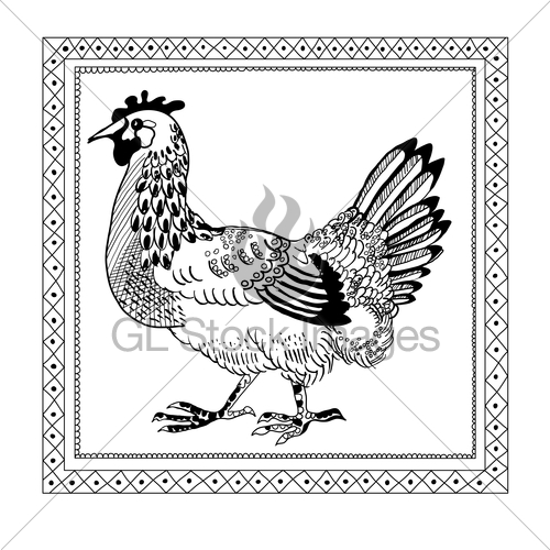 500x500 Chicken Drawing Sketch Gl Stock Images - Sketch Of Chicken