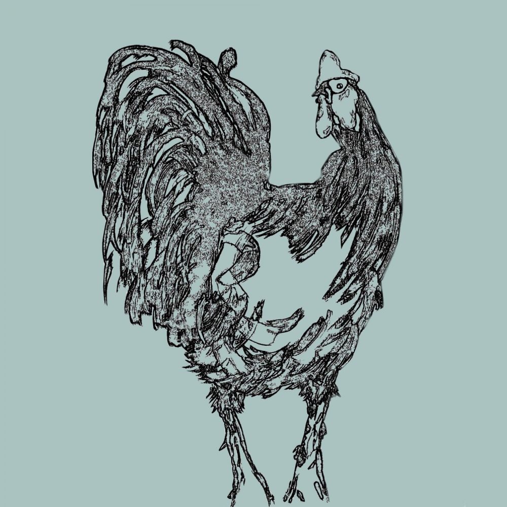 1000x1000 Chicken Sketch Card - Sketch Of Chicken