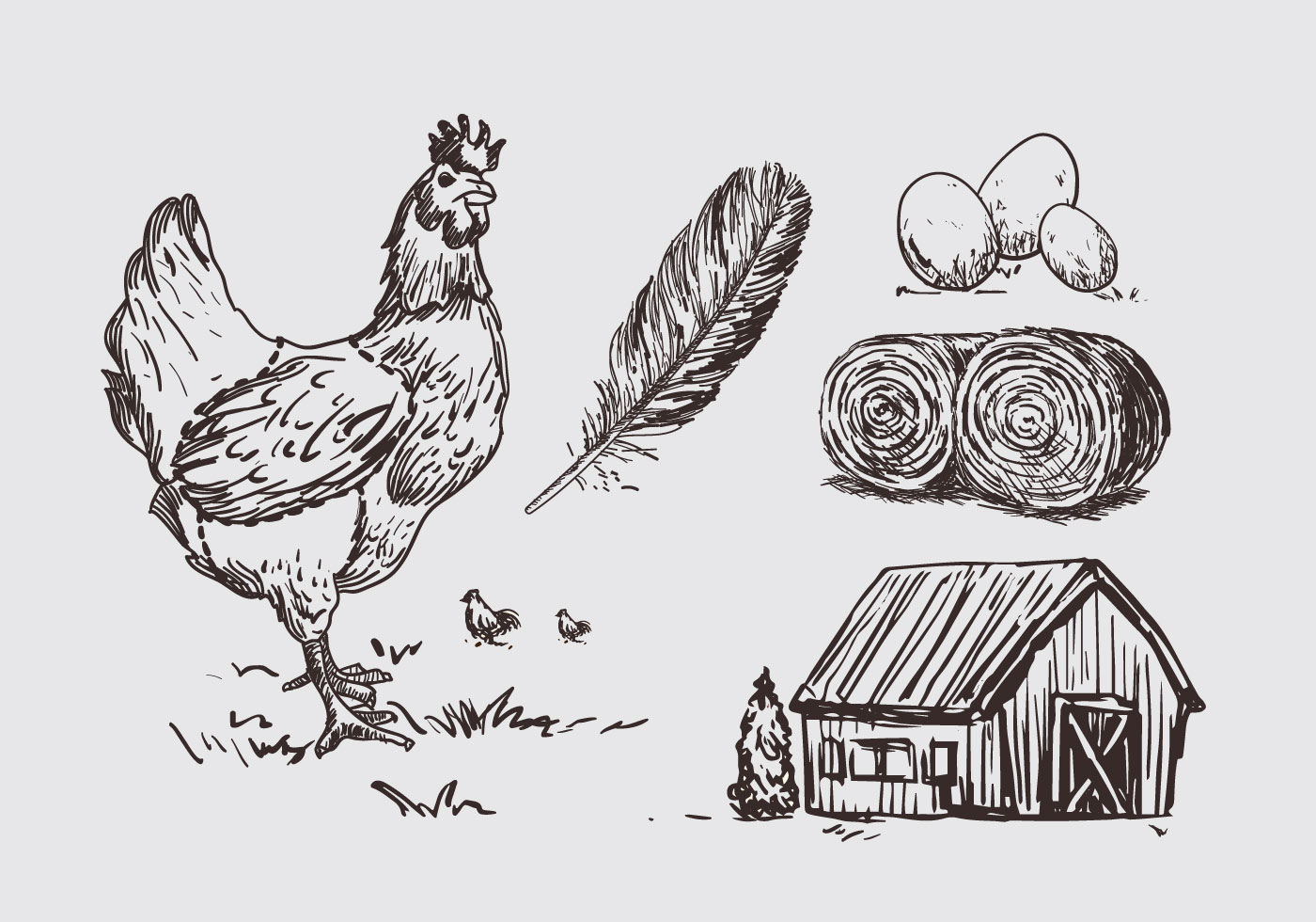 1400x980 Chicken Sketch Free Vector Art - Sketch Of Chicken