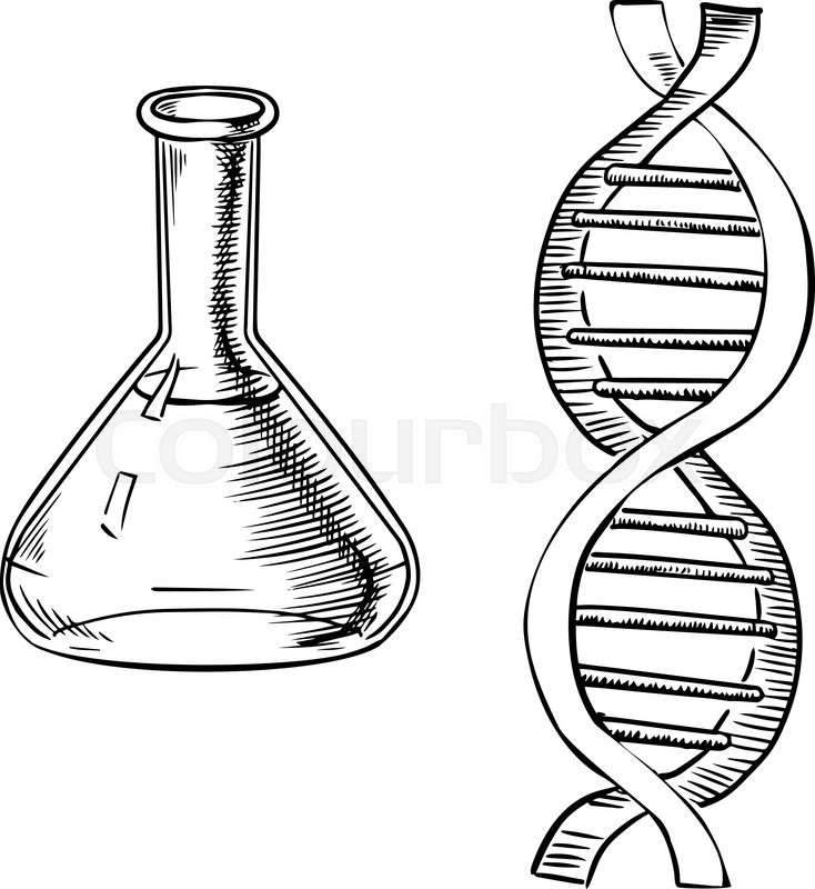 734x800 Laboratory Flask And Model Of Dna Helix Isolated On White - Sketch Of Dna