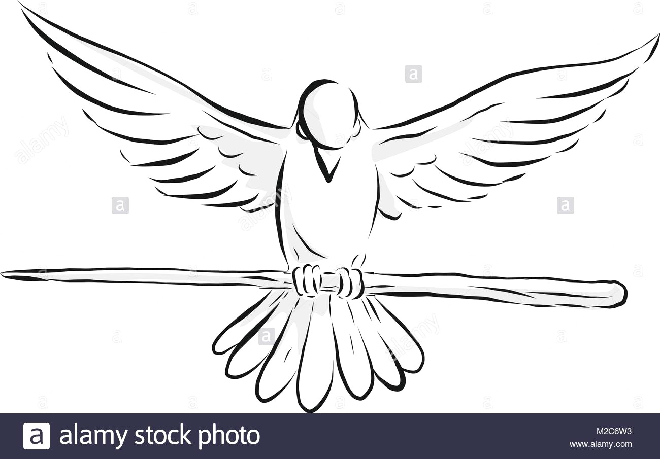 1300x905 Drawing Sketch Style Illustration Of A Soaring Dove Or Pigeon With - Sketch Of Dove