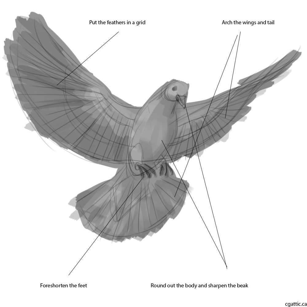 1000x1000 Realistic Dove Drawing In 4 Steps With Photoshop - Sketch Of Dove
